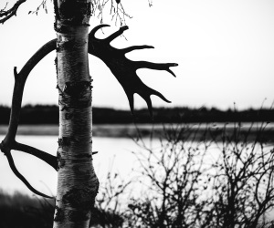 10122023_BachaPhoto_SimmsFishing_G4-Alaska_0888