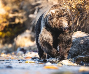 10122023_BachaPhoto_SimmsFishing_G4-Alaska_1065