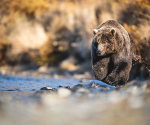 10122023_BachaPhoto_SimmsFishing_G4-Alaska_1067