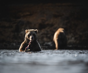 10122023_BachaPhoto_SimmsFishing_G4-Alaska_1281