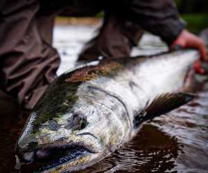 IMG_20200726_001653_733