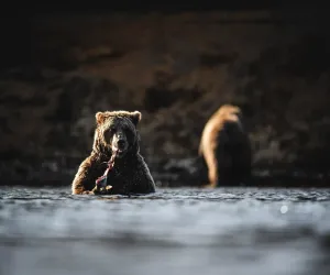 IMG_20231229_113442_133