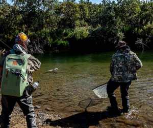 received_9253017631427103