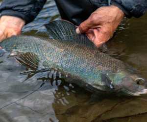 received_9548374771896023